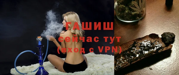 индика Абаза