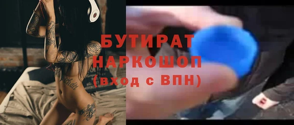 индика Абаза
