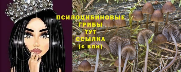 скорость Алексин