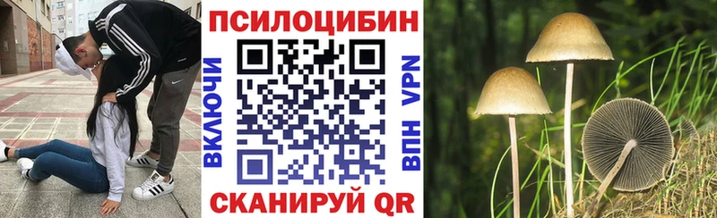где продают   Донской  Галлюциногенные грибы мицелий 